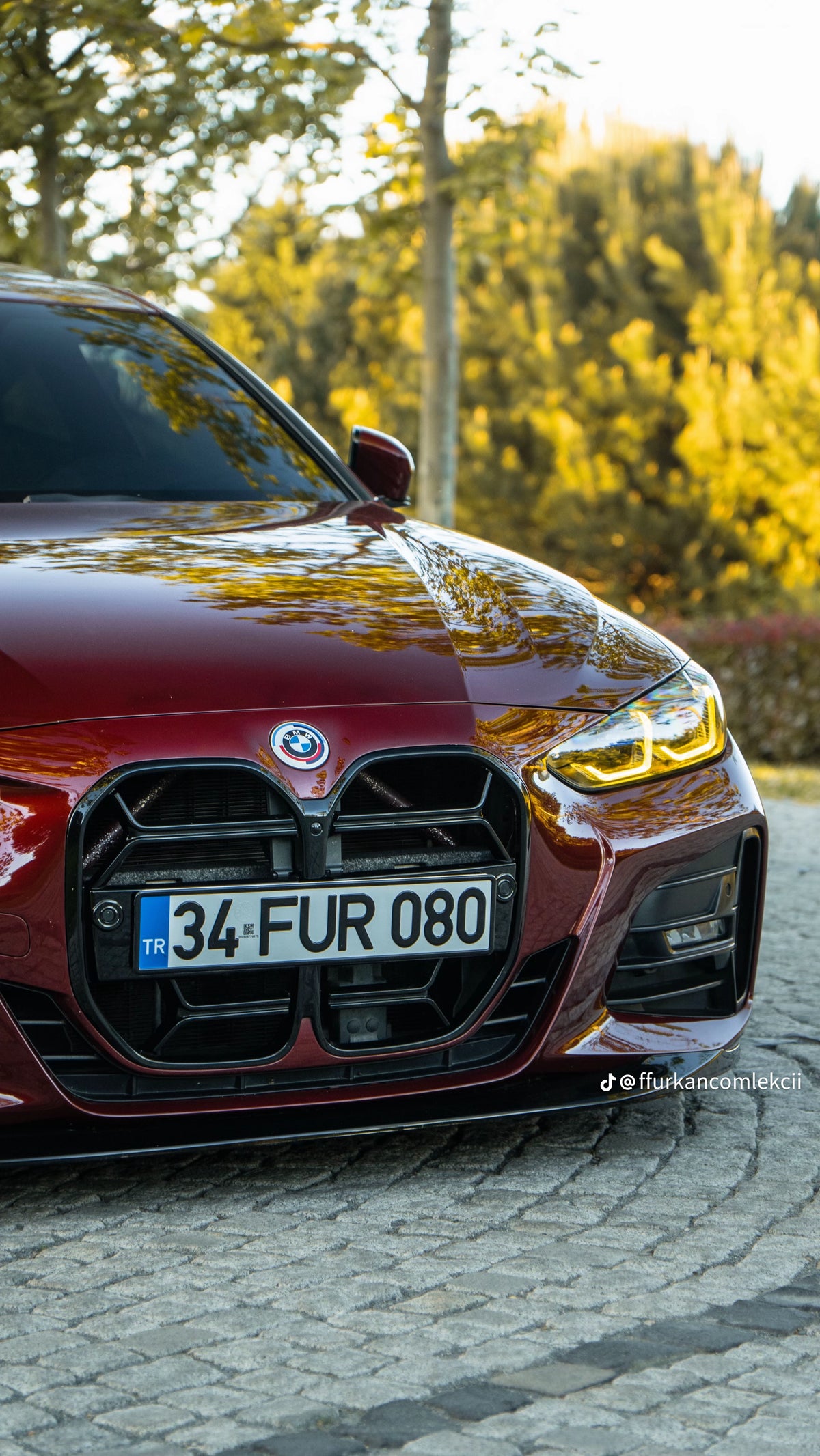 BMW 4 Serisi G22 G23 M4 CSL ön panjur ürün detayı